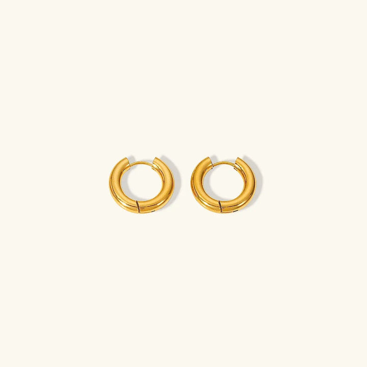 Gold-Plated Stainless Steel Hoop Earrings for Women