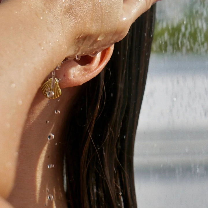 Gold-Plated Seashell Earrings