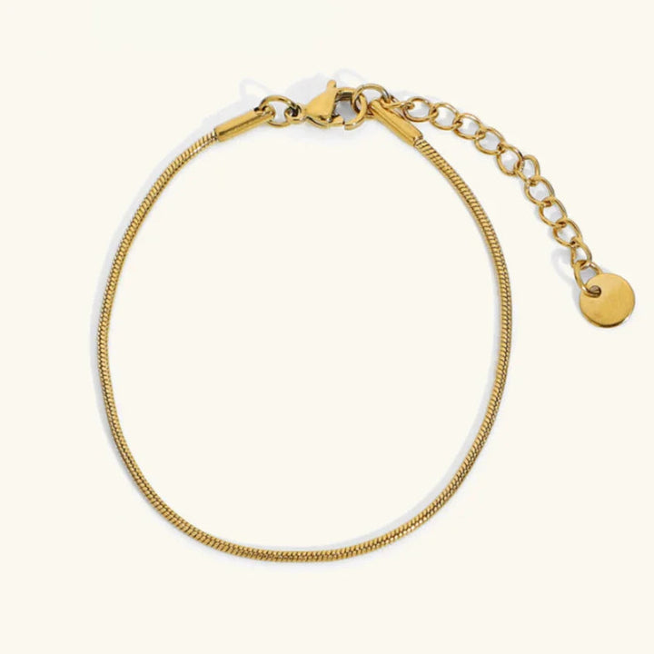 Gold-Plated Snake Chain Bracelet